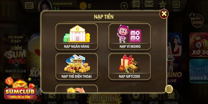 Ví điện tử và thanh toán trực tuyến nạp tiền cực nhanh